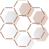 causes of pigmentation